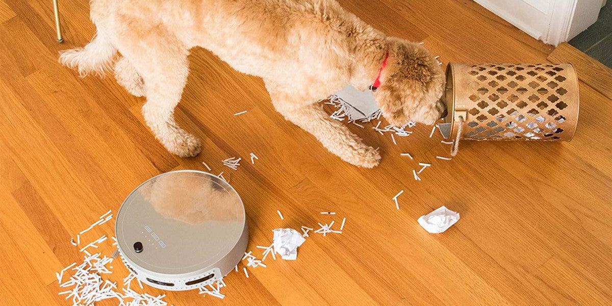 Automatic vacuum for fashion dog hair